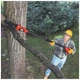 Кусторез Black&Decker высоторез, 18V,2Ah, штанга 150-244 см, длинна шины 20 см (GPC1820L20) BLACK&DECKER GPC1820L20 1050230 - изображение 8