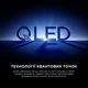 Телевизор TCL QLED 32" 32S5L - изображение 6