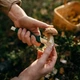 Ніж для грибів Fiskars 21 см (1070166) - изображение 4