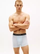 Набор трусов боксеров мужских Tommy Hilfiger 09T4431-U9N(Fossil) M 3 шт Синий (198928011489) - изображение 4