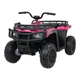 Квадроцикл Ramiz 4x4 ATV Wolf 24 В чорно-рожевий, PAA800.ROZ - зображення 1