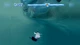 Гра Sony PlayStation 2 Happy Feet Europe Англійська Версія Б/У - зображення 2