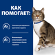 Сухой корм Hill's Prescription Diet s/d Urinary Care для кошек курицей 3 кг - изображение 5
