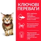 Сухой корм для котят и кошек в период беременности и кормления грудью Hill's Science Plan Kitten с курицей 3 кг - изображение 4