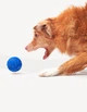Інтерактивна іграшка для собак Cheerble Wicked Ball Air Royal Blue (CWQ01B) - зображення 9