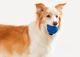 Інтерактивна іграшка для собак Cheerble Wicked Ball Air Royal Blue (CWQ01B) - зображення 11