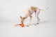 Інтерактивна іграшка для собак Cheerble Wicked Ball Air Rope Bright Orange (CWQ03O) - зображення 7