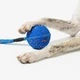 Інтерактивна іграшка для собак Cheerble Wicked Ball Air Rope Royal Blue (CWQ03B) - зображення 2