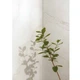 Керамограніт Imola The Room Abs Wh6 12 Rm 60x120 см - изображение 3