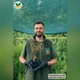 Саженцы Барбариса оттавского Суперба (Superba) Р9 - изображение 4