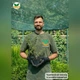 Саджанці Перстачу Пінк Парадайз (Potentilla fruticosa Pink Paradise) Р9 - зображення 5