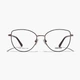 Оправа оптическая DACCHI D D31127 С2 - изображение 1