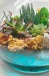 Круглый флорариум с живыми суккулентами и водоёмом "Водопад", диаметр 20 см - изображение 8