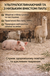 Конопляный наполнитель Hemp-Pets Premium Organic — легкий, без запаха, смываемый, комкующийся, гипоаллергенный, беспыльный для аллергиков, 8 л. впитываемость. - изображение 6