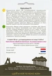 Огурец Криспина F1, 50 шт., Садиба - изображение 2