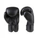 Боксерские перчатки Everlast EF-0370-16 черные 16 унций (16 oz) - изображение 2