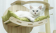 Когтеточка-комплекс для кота (Cat Tree) Volso Y-18 с полочками и домиком устойчивая конструкция 1М - изображение 4