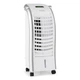 Охладитель-вентилятор KLARSTEIN Maxfresh 4-в-1 (10029393) - изображение 1