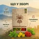Чай Карпатський бальзам 40 г - зображення 2