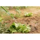 Поливочный шланг 2E AquaFlex Emerald Pro, 1/2", 30м, 4 слоя, 20бар, -10…+60°C, ороситель, 2 коннектора, адаптер (2E-GHE12ED30) - изображение 7