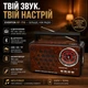 Портативне радіо Everton RT-715 з Bluetooth, аналоговою шкалою налаштування, USB, SD/TF, AUX-входом та LED-ліхтариком - зображення 7