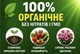 Торфо-гуминовое удобрение «ТорфоСад» 250 мл — натуральное биоудобрение для сада и плодовых культур! - изображение 3