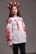 Жіноча вишиванка Trend Натхненна XXXXL Білий (SOLNATHUKRBCH) - зображення 7