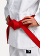Червоний пояс IPPON GEAR серія CLUB 2 300см - зображення 5