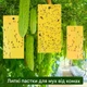 Липкая лента от вредителей и насекомых 10×15 см - 10 шт. Клеевая ловушка. Набор ловушек для насекомых - изображение 1