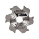 Фреза Einhell диск к ламельному фрезеру 100х22х3.8мм 6Т (758941) EINHELL 758941 1054361 - изображение 1