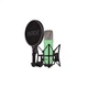 Микрофон Rode NT1 Signature Green (235764) Rode 235764 1056002 - изображение 1