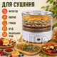 Сушилка для овощей и фруктов Zepline ZP-029 450 Вт 5 уровней 35 до 70 °C - изображение 2