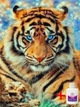 Алмазна мозаїка на підрамнику ColorArt 30х40 Тигр STP476 + Подарунок лак для покриття - зображення 1
