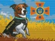 Алмазна вишивка ColorArt 30x40 Пес Патрон ST482 - зображення 2