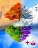 Набір алмазної мозаїки на підрамнику ColorArt Пори року 40x50 SPP038 + Подарунок лак для покриття - изображение 1