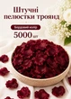 Многоразовые искусственные лепестки роз 5000 шт для декора и торжественных моментов бордовые (60201/030) - изображение 1