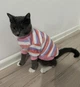 Флисовая кофта для котов (кошек) Полосочка S Розово-фиолетовый - изображение 9