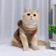 Кофта для котів (кішок) Ведмідь з вушками XS Коричневий - зображення 3
