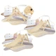 Дитячий трикутник Піклера з похилою дошкою, натуральне дерево - зображення 4