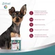 Вітаміни 8in1 Excel Multi Vitamin Small Breed для собак дрібних порід, мультивітамін, 70 шт - зображення 9
