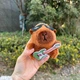 Брелок для ключей Капибара Гитарист с гитарой и в очках подвеска на сумку рюкзак зеркало автомобиля ключи плюшевая мягкая игрушка Коричневая 99_24_0_6S - изображение 13