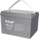Аккумулятор KIJO JM12-100 - изображение 2
