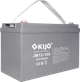 Аккумулятор KIJO JM12-100 - изображение 3