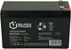 Аккумуляторная батарея EUROPOWER AGM 12V-7.2Ah (EP12-7.2F2) - изображение 3