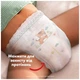 Подгузники Pampers Active Baby Pants Розмір 7 (15+ кг) 108 шт (8006530305747) Pampers 8006530305747 1053169 - изображение 5