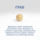 Браслет ручной работы из бусин Граба • Натуральный амулет-талисман - изображение 5