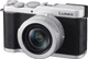 Фотоапарат Panasonic Lumix L10 Silver (DC-L10E-S) - зображення 1