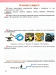 Книга Пізнаємо природу. Робочий зошит. 5 клас НУШ - Тетяна Гільберг (Украинский язык) - изображение 2