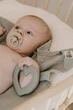Подарочный набор пустышки и держатель для соски) BIBS Colour Pacifier & Loop Clip Gift Set Latex - изображение 2