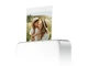 Термосублімаційний принтер Xiaomi Portable Photo Printer Pro BHR082QGL - изображение 13
